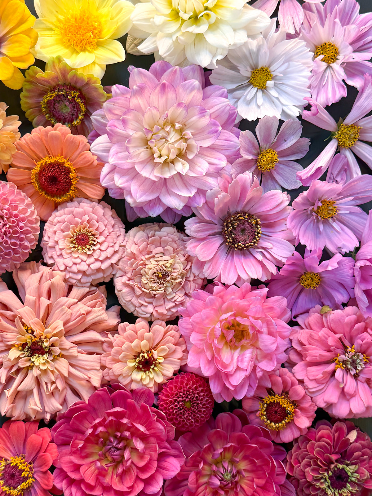 Seasonal Flower Arrangements - Local Only