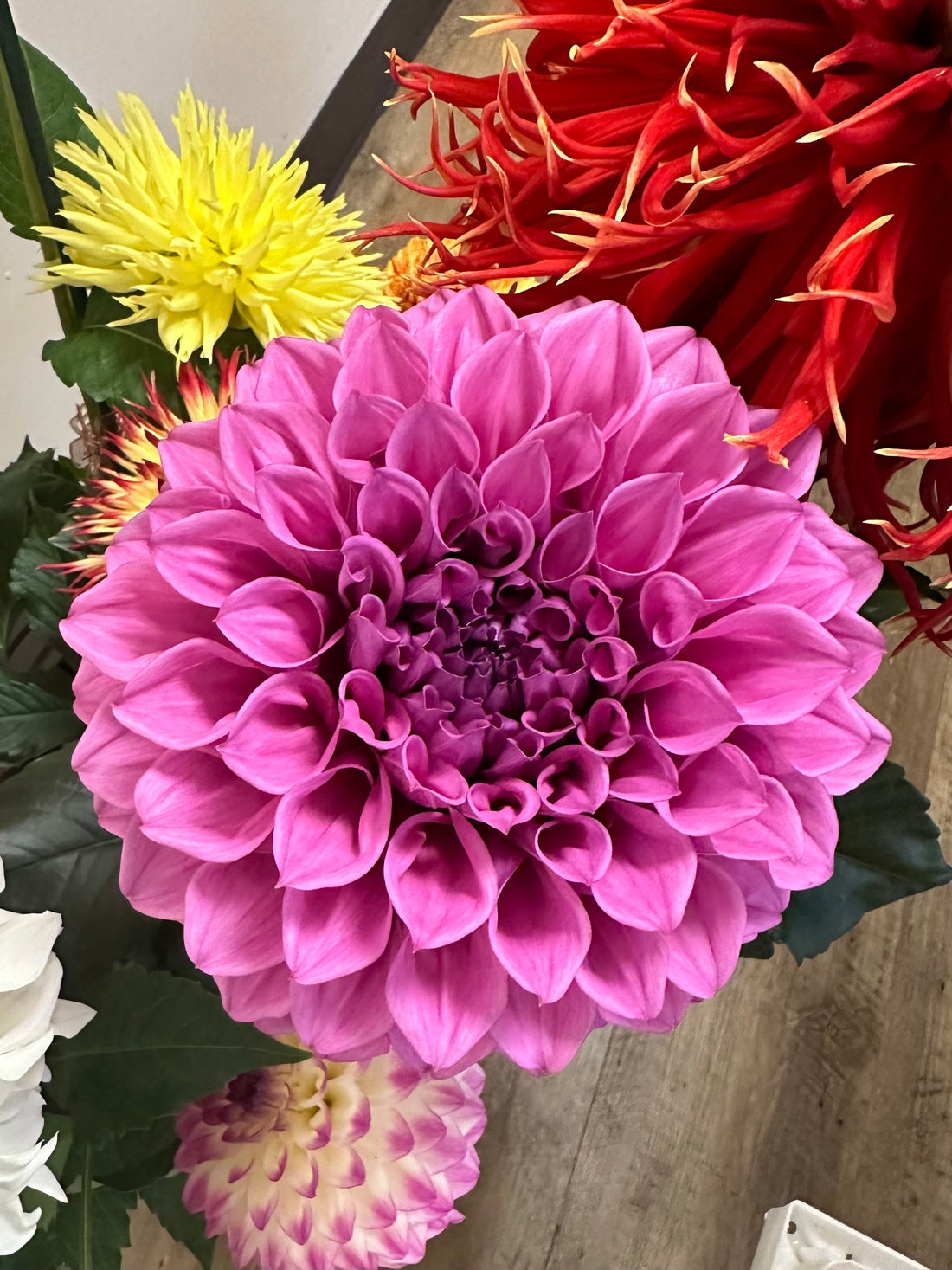 Rainfall B size Formal Decorative