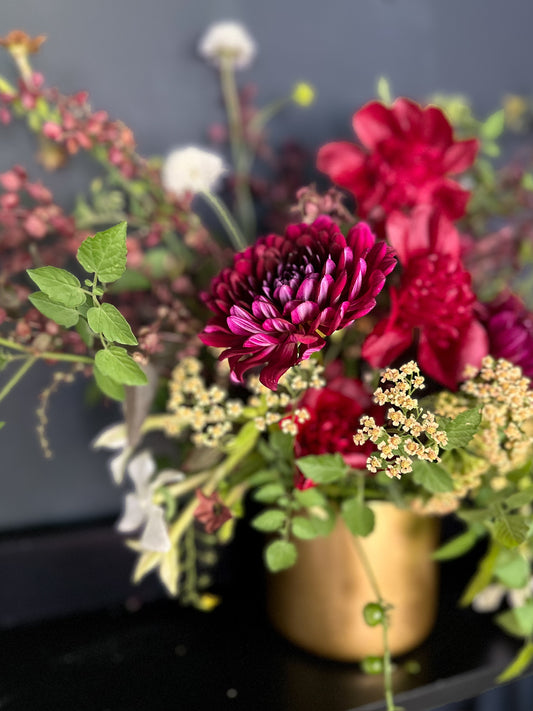 Sandia Bertha  - Cutting