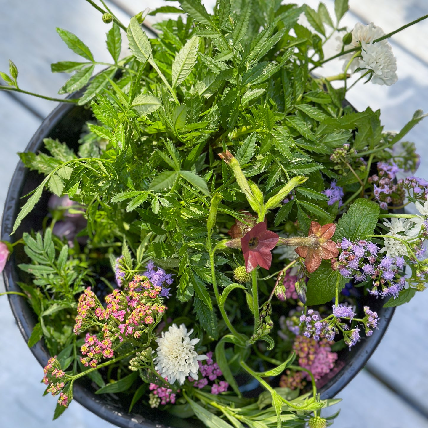 DIY Flower Bar - Local Only