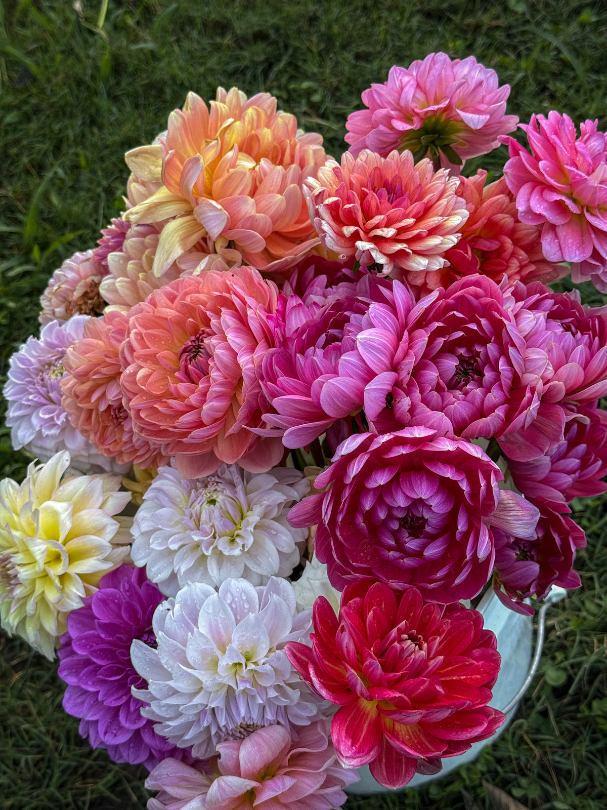 DIY Flower Bar - Local Only